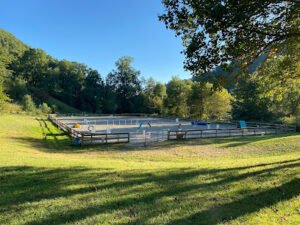 the Meadow Ranch, llc