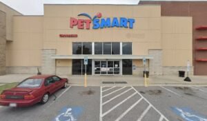 PetSmart Dog Training