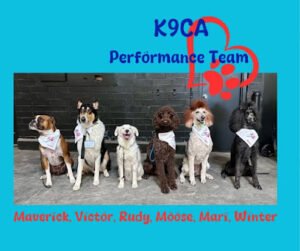 K9 Coaching Academy