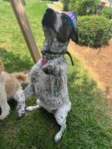 Fur Keepers Pet Services & Training