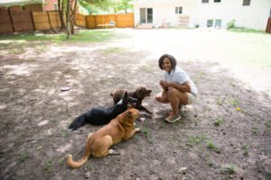 Dynamic Dogs of NC