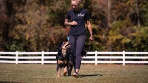 Happy Dogs Training