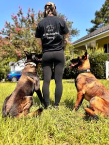 Perspective K-9