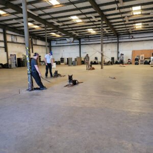 Ventosa K9 Kennel Inc.