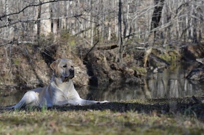 New Hope Dog Training Center