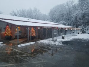 Charlie’s K-9 Camp