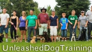 Unleashed Dog Training