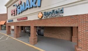 PetSmart Dog Training