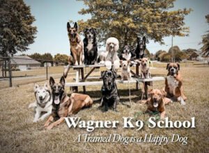 Wagner K9 School