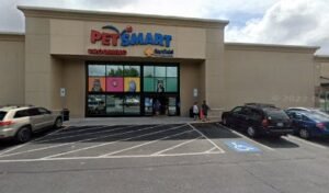 PetSmart Dog Training