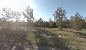Sandhills Dog Training LLC