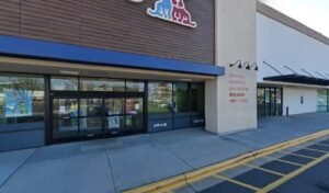 Petco Dog Training