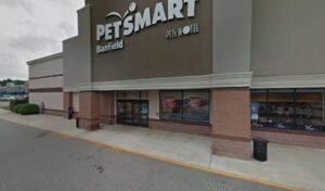PetSmart Dog Training