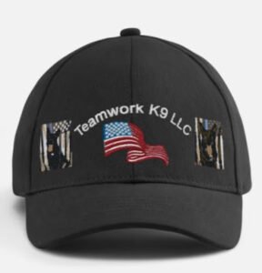 Teamwork K9 LLC