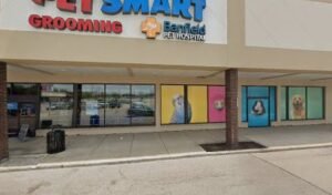 PetSmart Dog Training