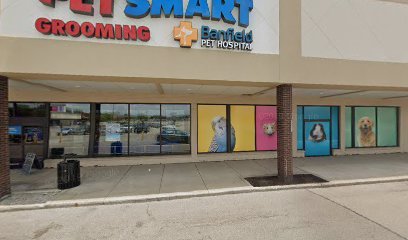 PetSmart Dog Training