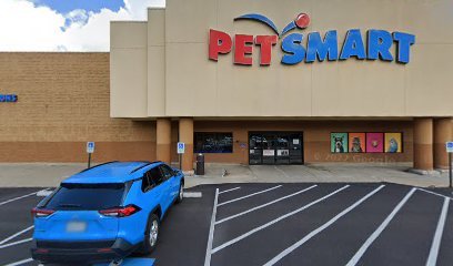 PetSmart Dog Training