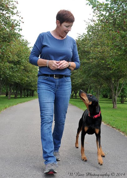 Pawsitive Play Dog Training