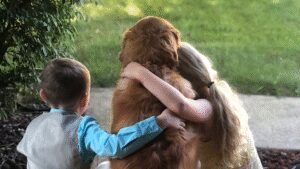 Blind Faith Family Canine Academy