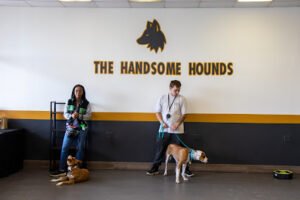 The Handsome Hounds