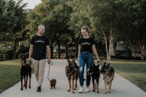 Atlas K9 Training