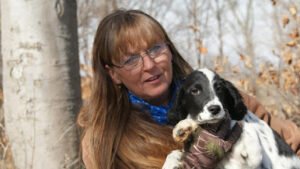 Horses & Hunting Dogs