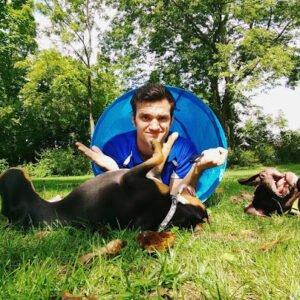 GT Dog Training