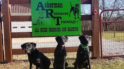 Ackerman Retriever Training Ltd