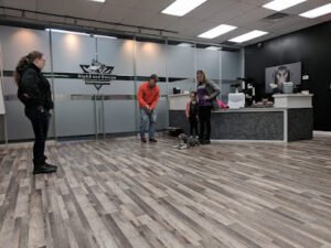 AlphA and Omega Dog Training