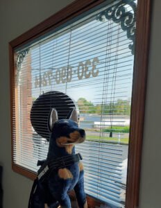 Kristys K9 Training LLC