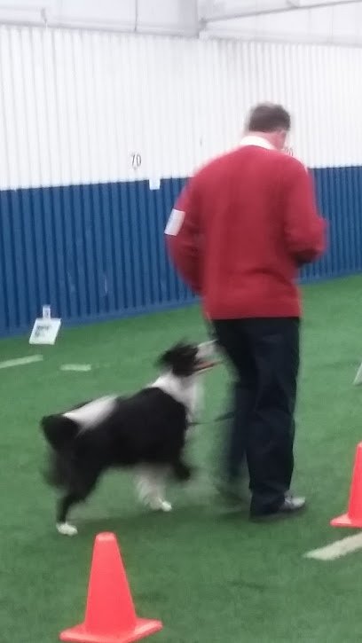 Gem City Dog Obedience Club