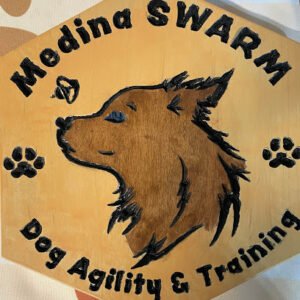 Medina Swarm Agility and Dog Training
