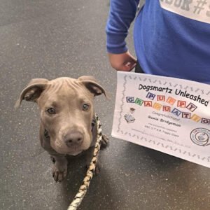 Dogsmartz Unleashed LLC
