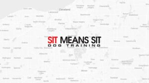 Sit Means Sit Dog Training Cleveland & Akron