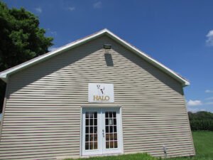 Halo K9 Behavior Consultation