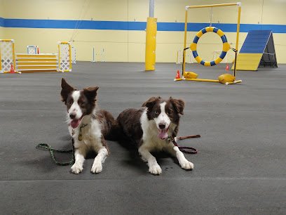 Cleveland All-Breed Training Club