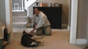 Train Your Pup