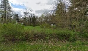 Search Results Excel K-9 Services, Inc.