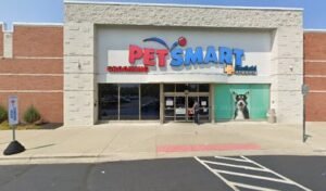 PetSmart Dog Training