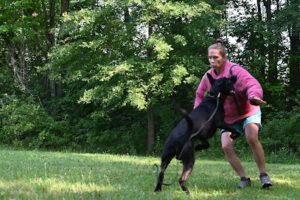 OT kennels