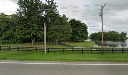 Ravens Regal Shepherds