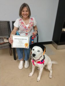 Kanga U Dog Training and Drop-in Care