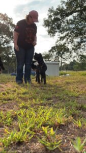 Outland K9