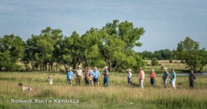Smith Kennels
