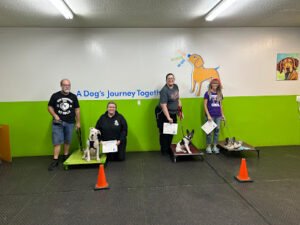 MeritDog Training & Services