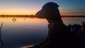 Shotts Retriever Systems