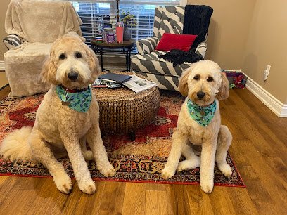 On Command K9 Academy