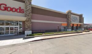 PetSmart Dog Training