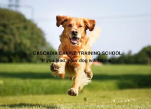 Cascadia Canine Training School