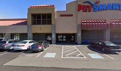 PetSmart Dog Training